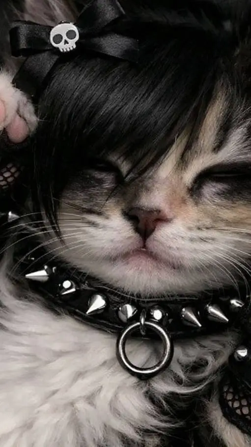 ai character: emo cat background