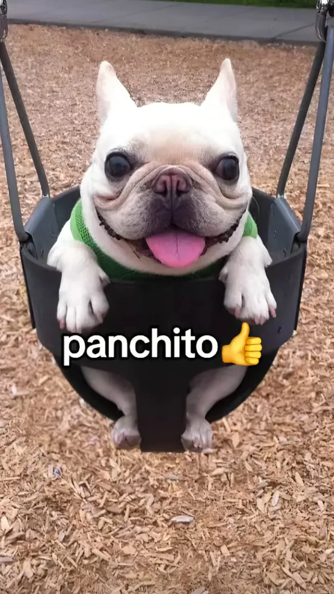 ai character: Panchito background