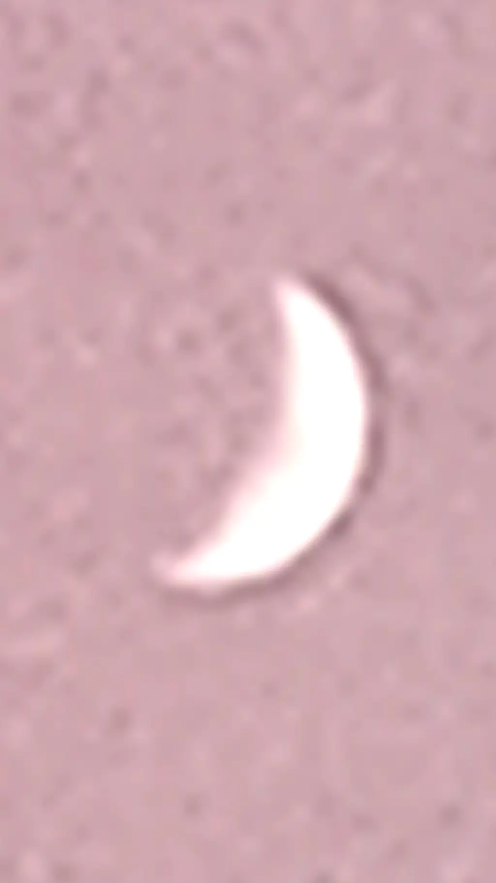 ai character: Anime ALL background