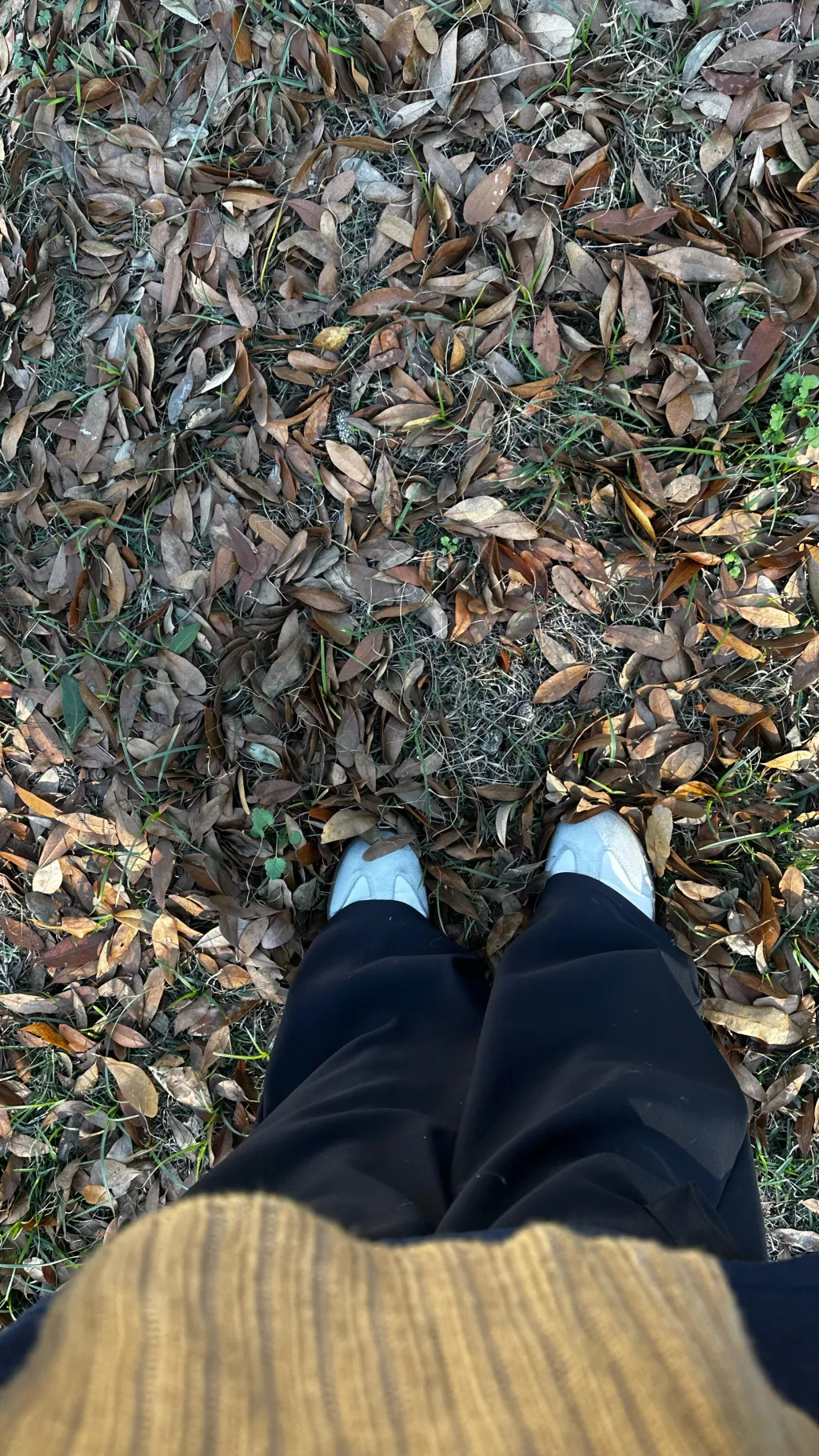 ai character: Rengoku  background