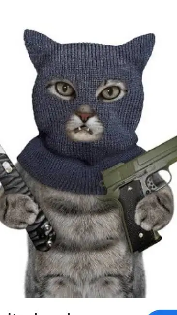 ai character: gatito ratero background