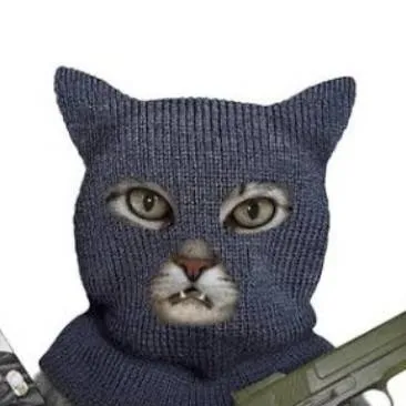 chat with ai character: gatito ratero