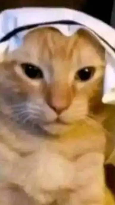 ai character: gato inmortal background