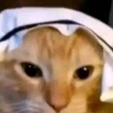 chat with ai character: gato inmortal