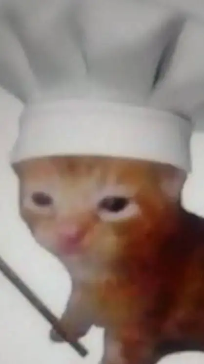 ai character: gato cocinero background