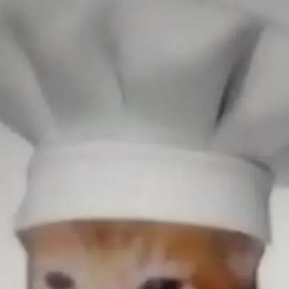 chat with ai character: gato cocinero