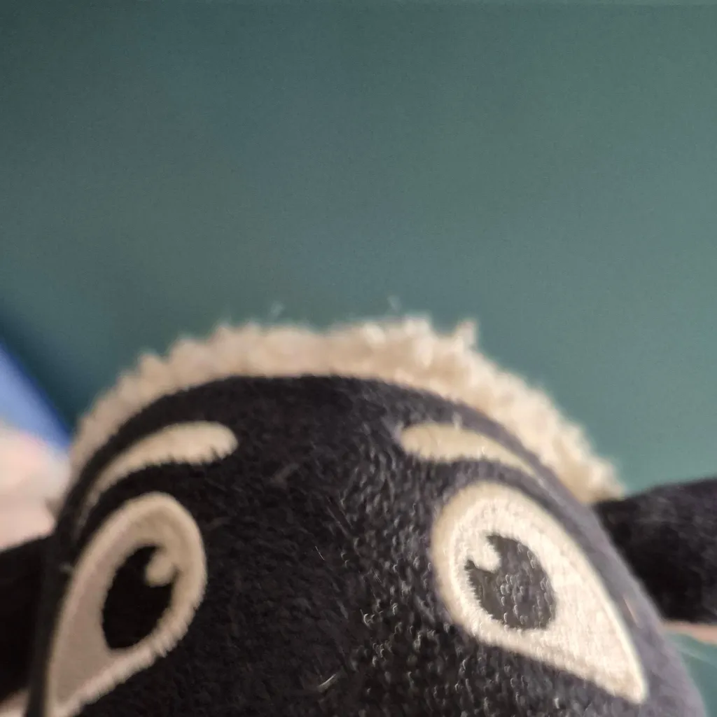 chat with ai character: wooly the sheep 