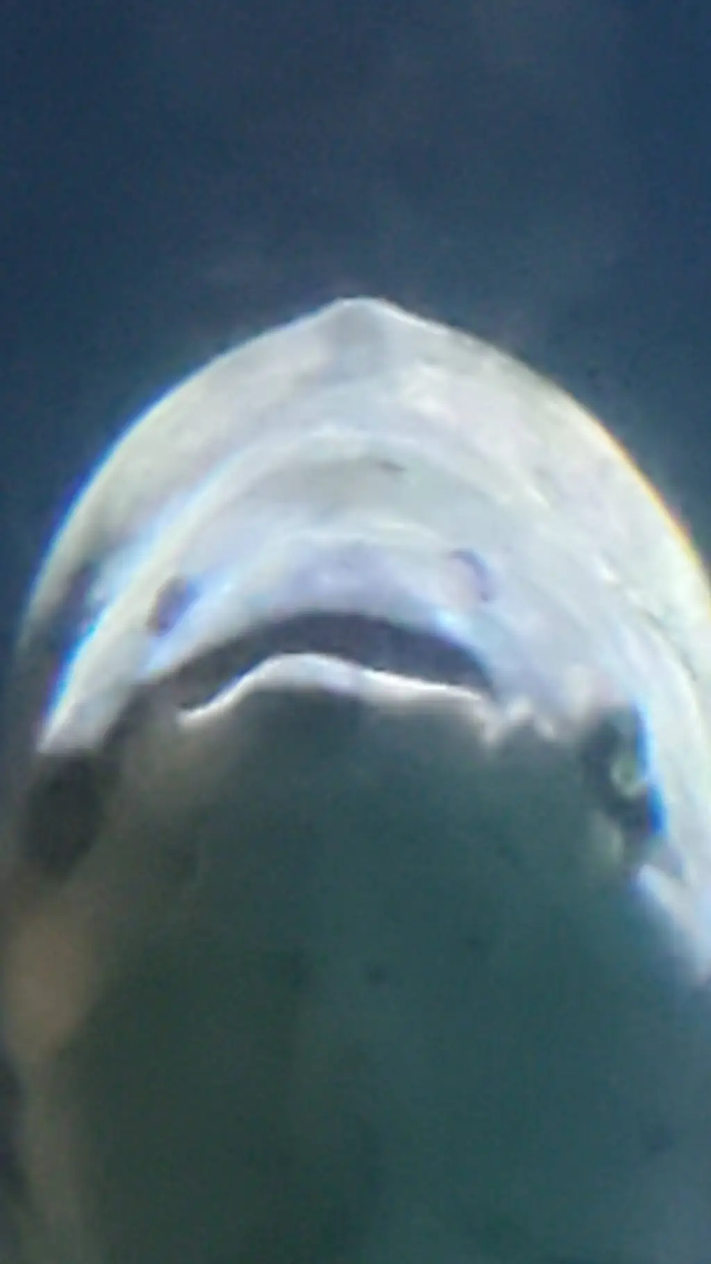 ai character: hungry fish  background