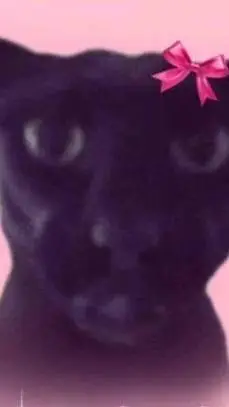 ai character: u background