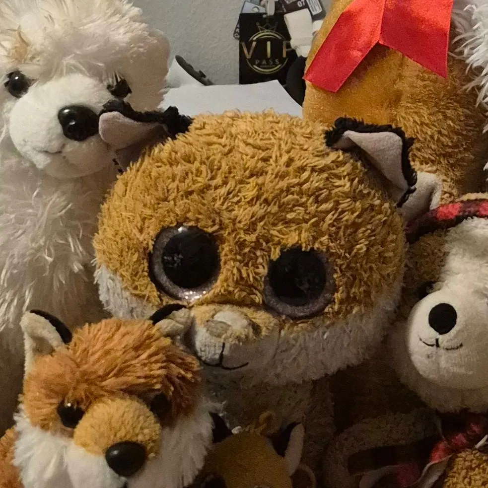 chat with ai character: fox family