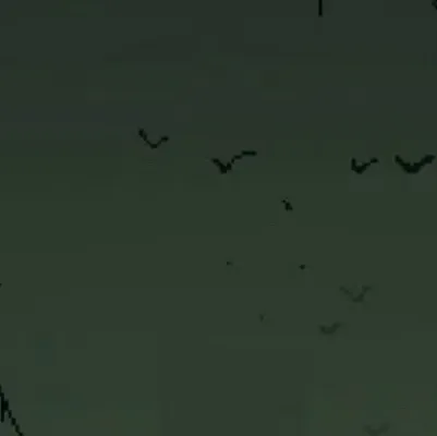 chat with ai character: THE WALKING DEAD.