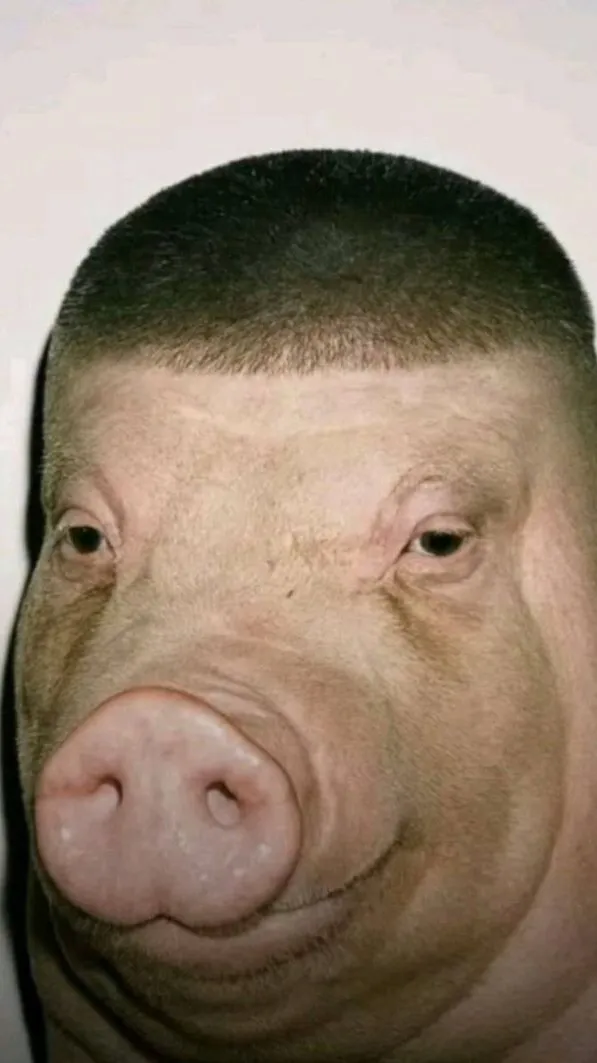 Talkie AI - Chat with Group call Or idk