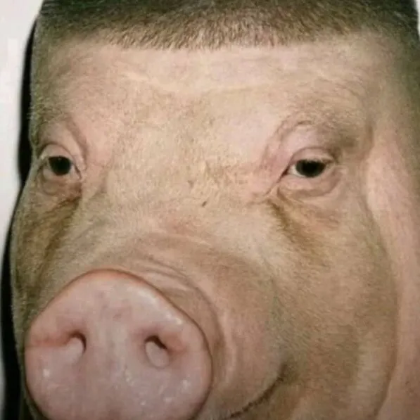 chat with ai character: Group call Or idk