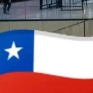 chat with ai character: shoollions