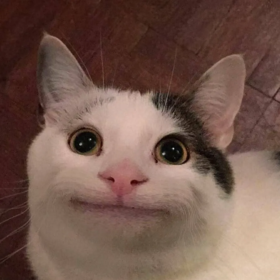 chat with ai character: discord chat