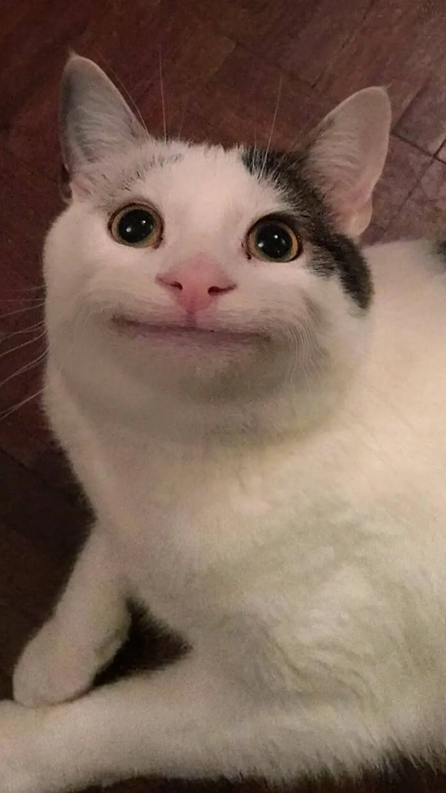 ai character: discord chat background