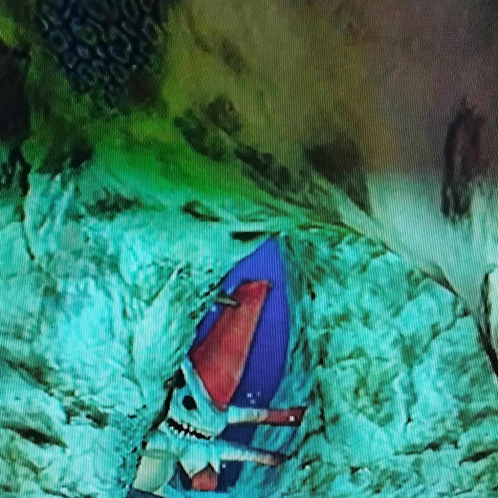 chat with ai character: reaper Leviathan 