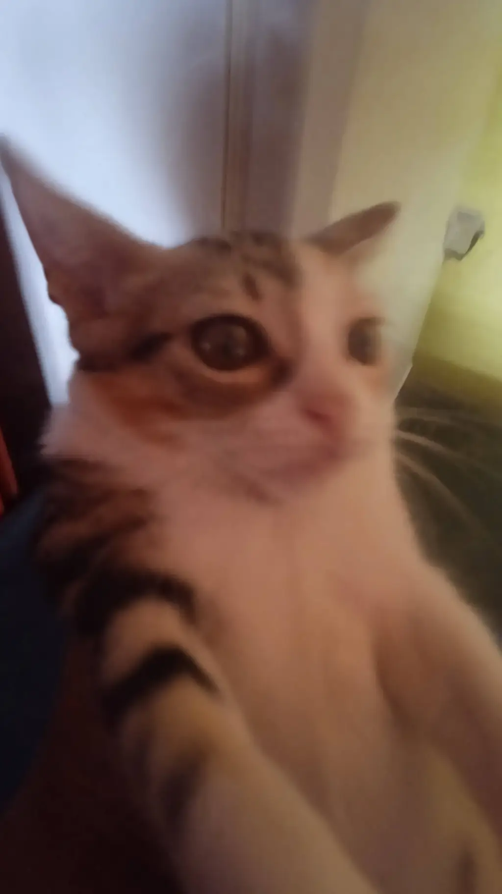 ai character: linda sin ideas background