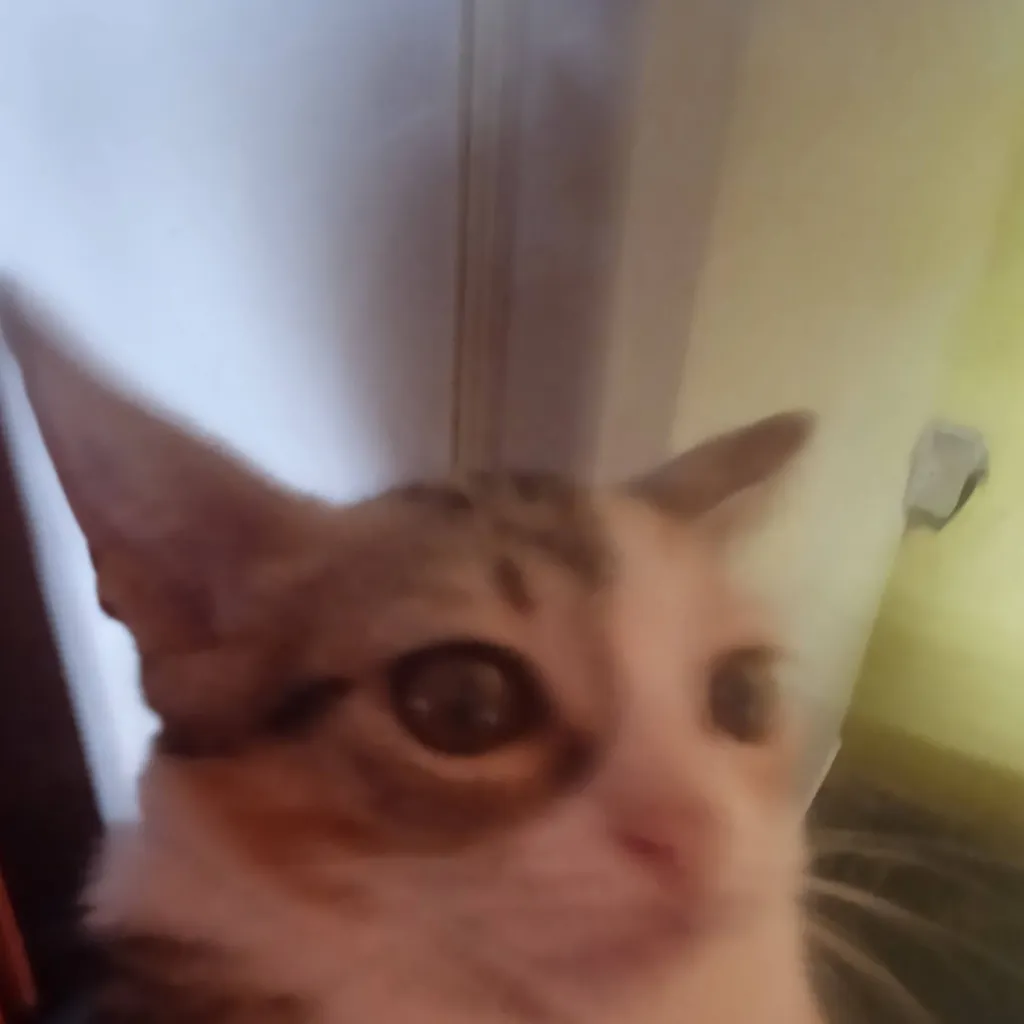 chat with ai character: linda sin ideas