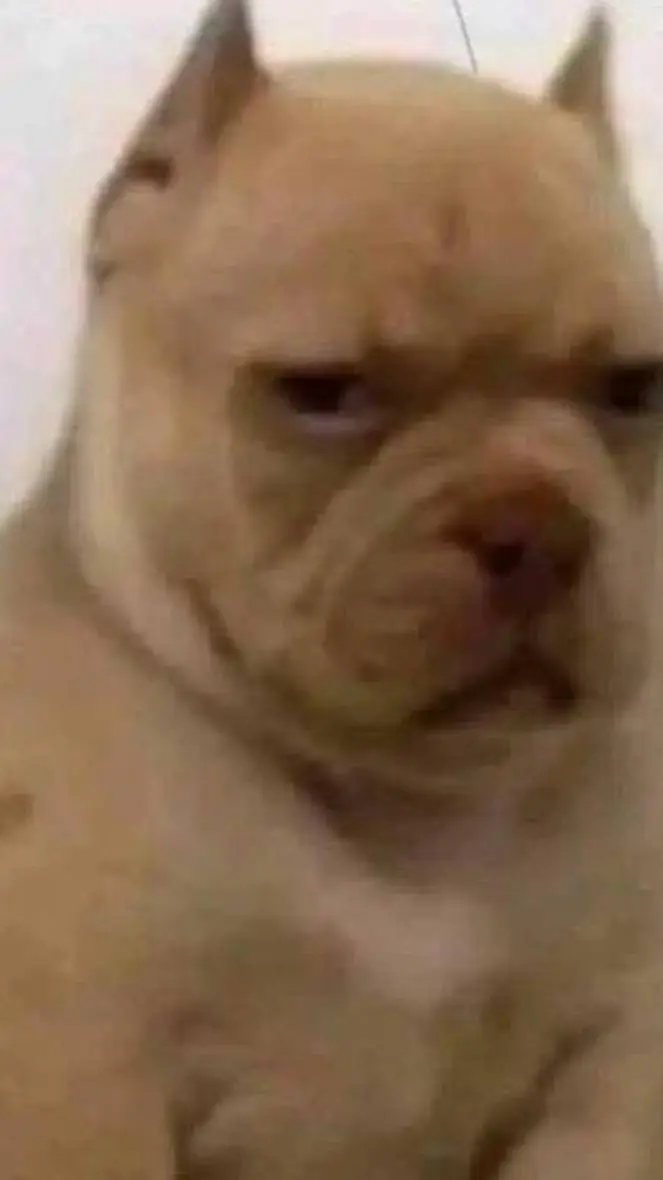 ai character: Artful x Devesto~ background