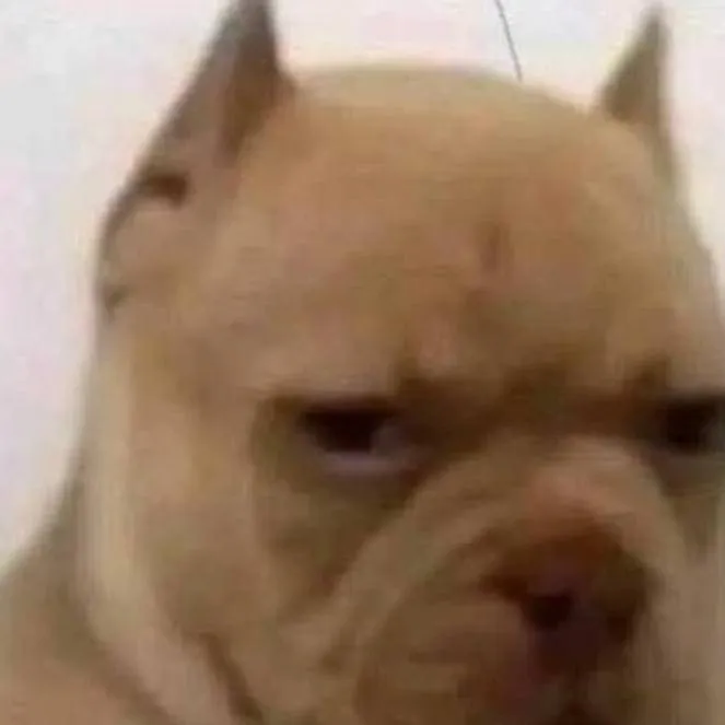 chat with ai character: Artful x Devesto~