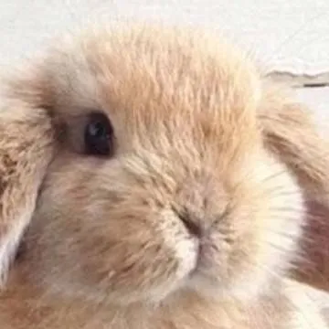 chat with ai character: Luna