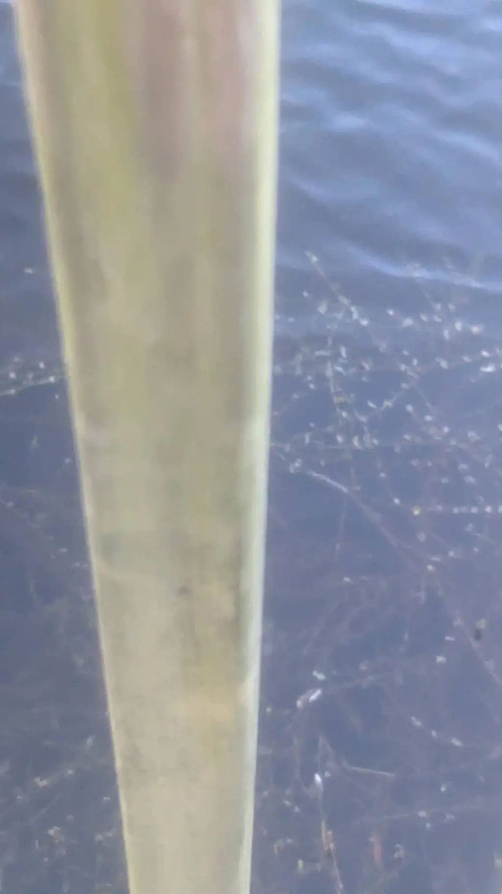 ai character: overhual mha background