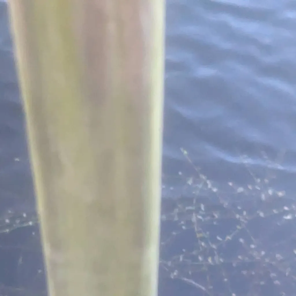 chat with ai character: overhual mha