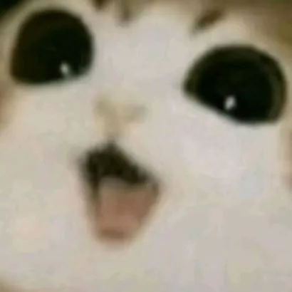chat with ai character: Baby Meowl