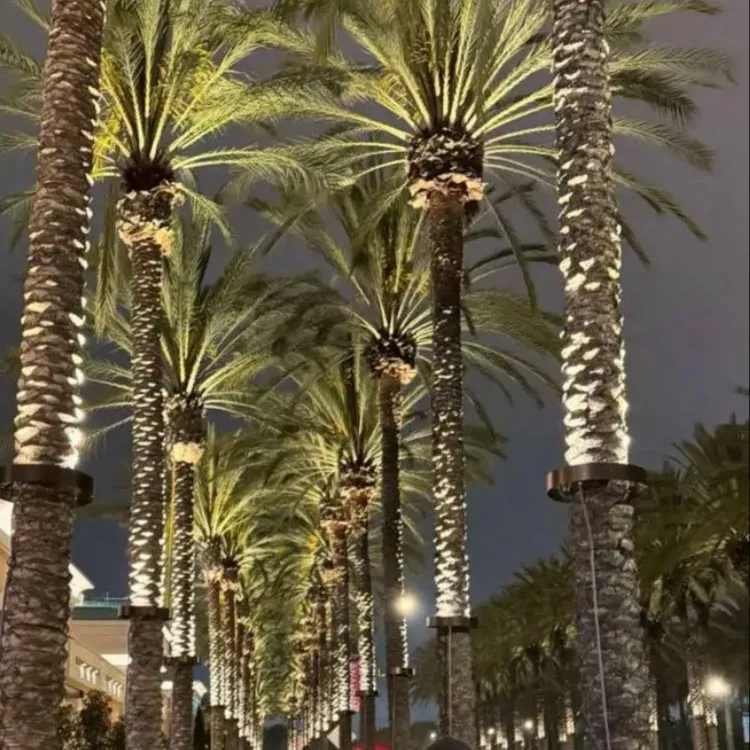 chat with ai character: Jungwon 