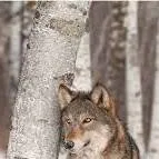 chat with ai character: Jack