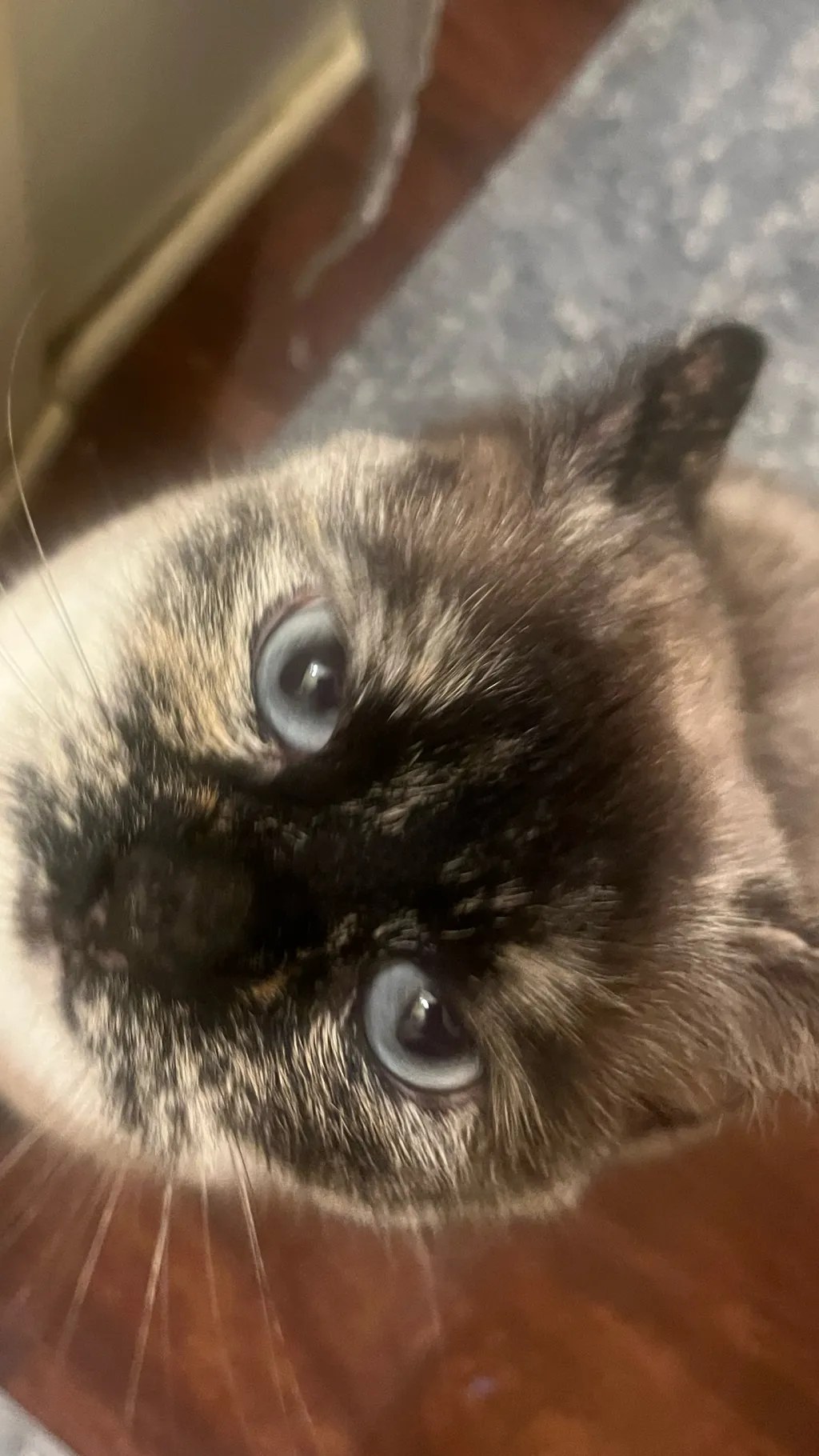 ai character: K-pop school!! background