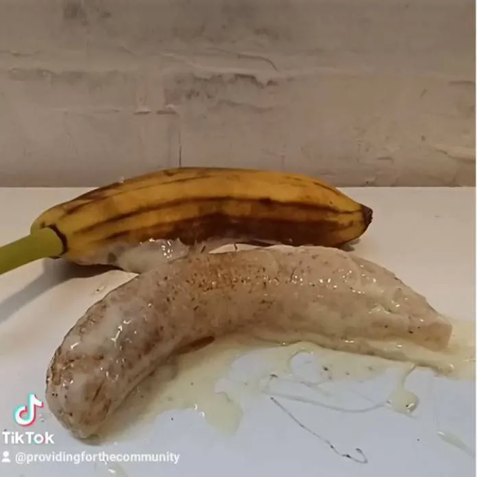 chat with ai character: lab banana