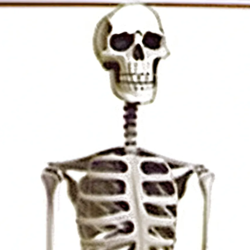 chat with ai character: Skeleton