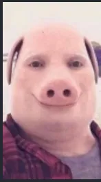 ai character: John Pork background