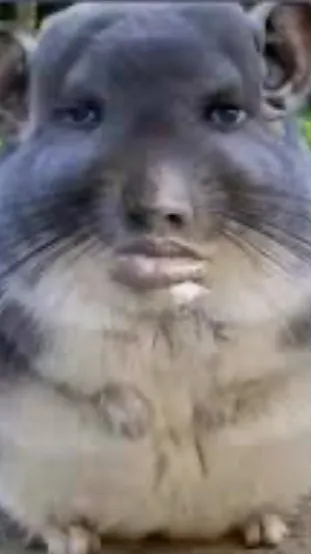 ai character: adrains ohio story background