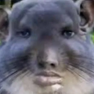 chat with ai character: adrains ohio story