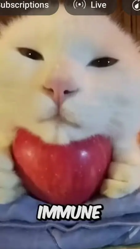 ai character: MLP human version background