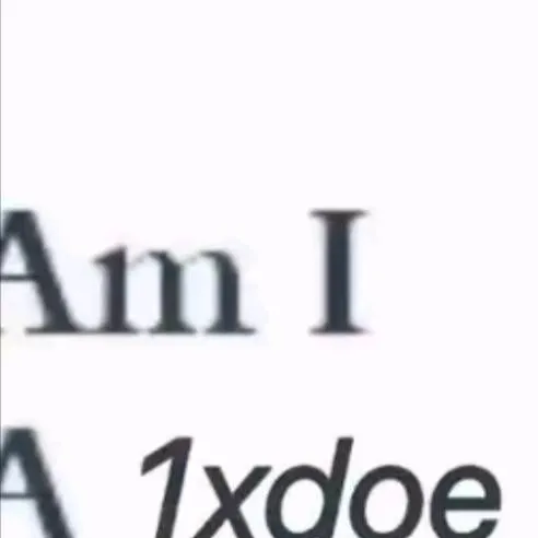 chat with ai character: 1xdoe