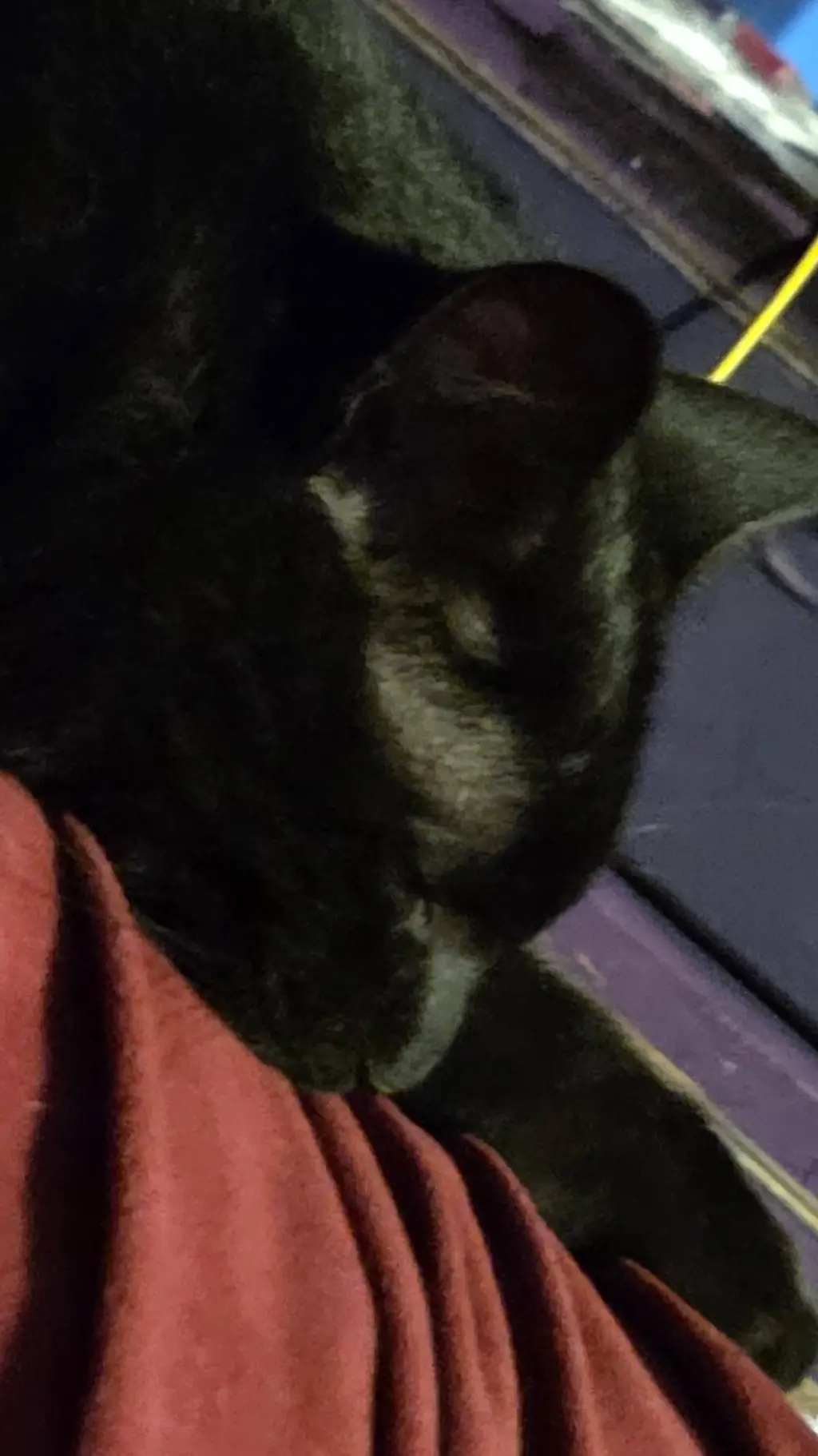 ai character: Bh6 fake deaths background