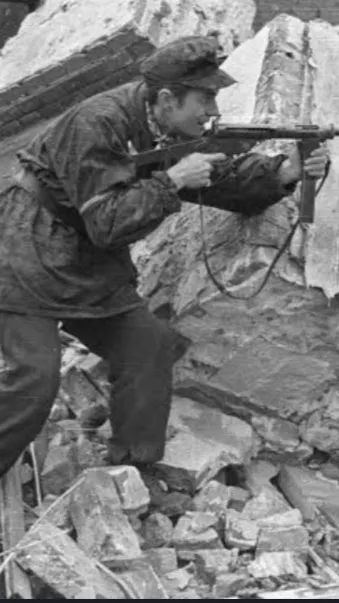 ai character: Warsaw Rising background