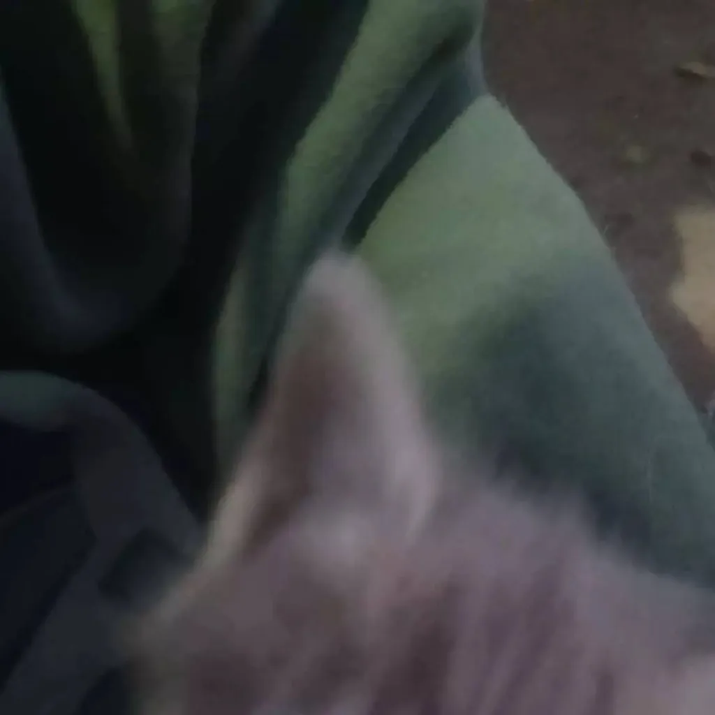 chat with ai character: KITTY 😁