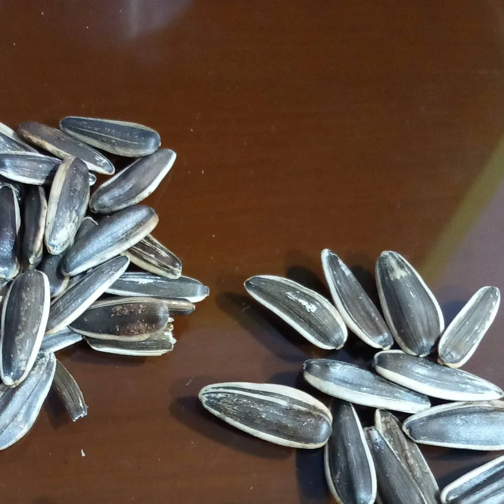 chat with ai character: Sprunki episode! 