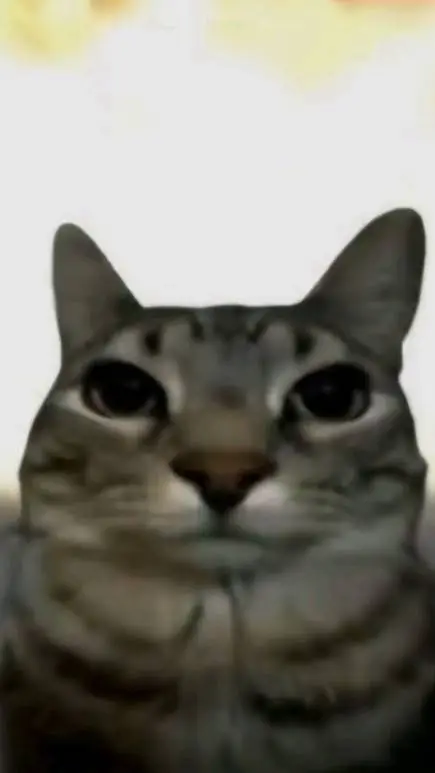 ai character: •˙∘Liam x Jil∘˙• background