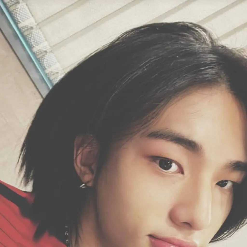 chat with ai character: 🎀Hyunjin🎀