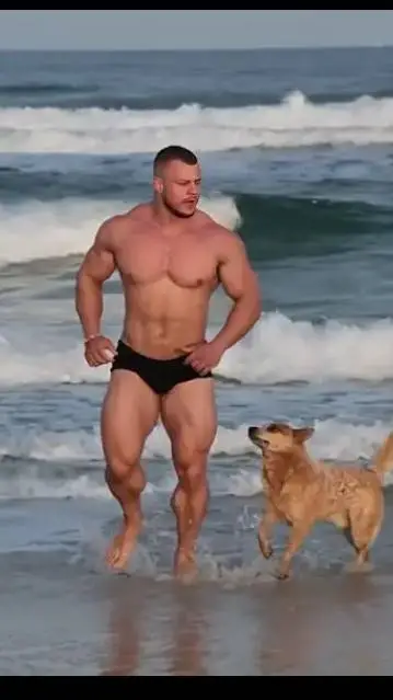 ai character: Solstair background