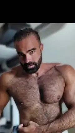 ai character: Robin background