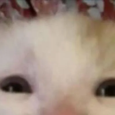 chat with ai character: gato triste 😿 