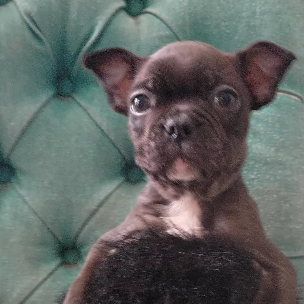 chat with ai character: Mighty