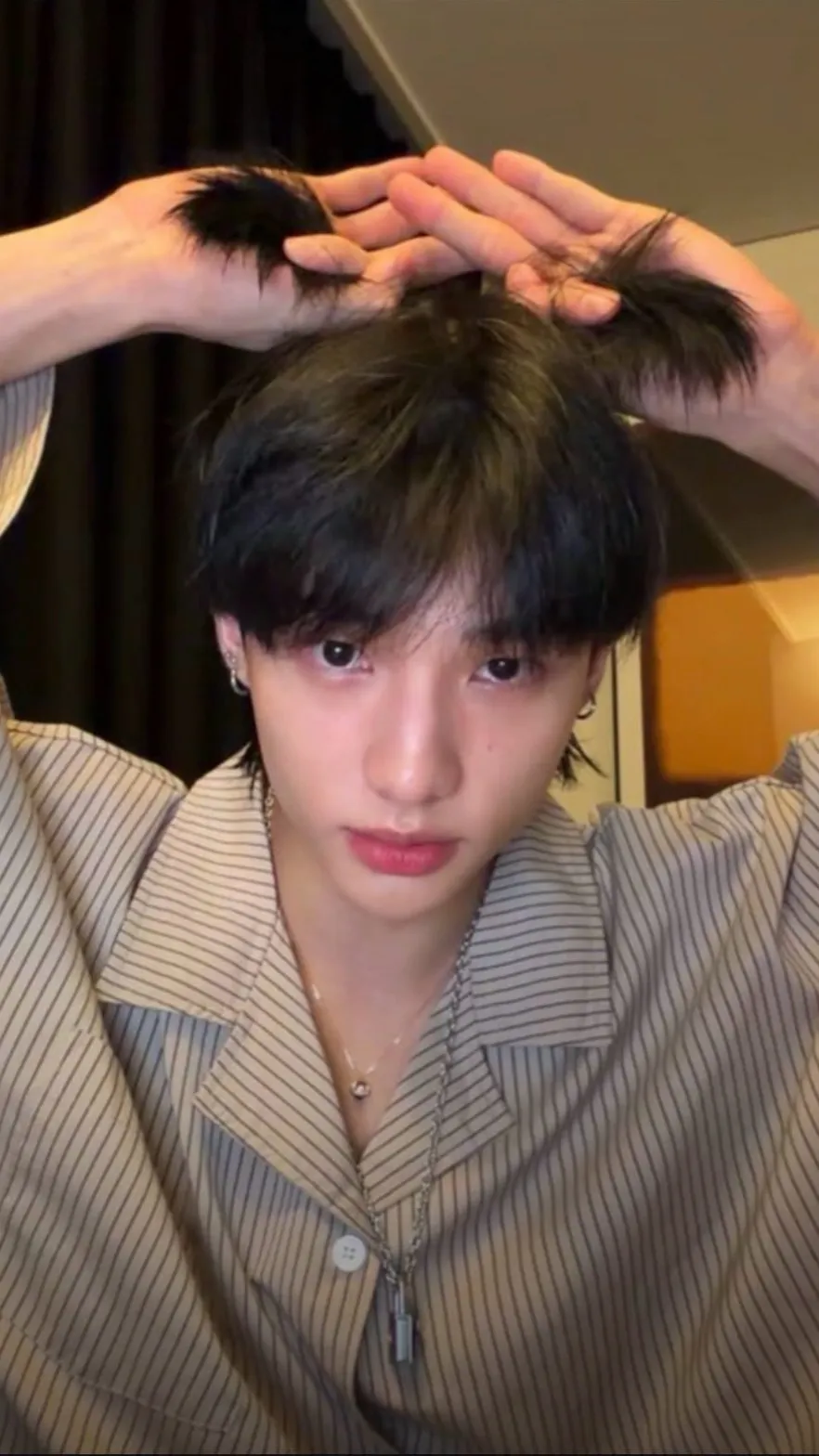 ai character: Hyunjin background